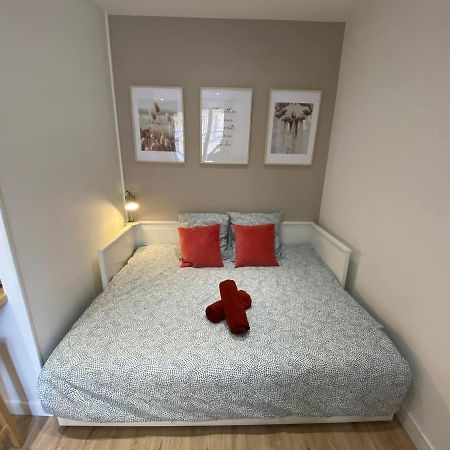 Place De Metz, Hyper-Centre Grenoble, Studio 25 M2 Екстер'єр фото