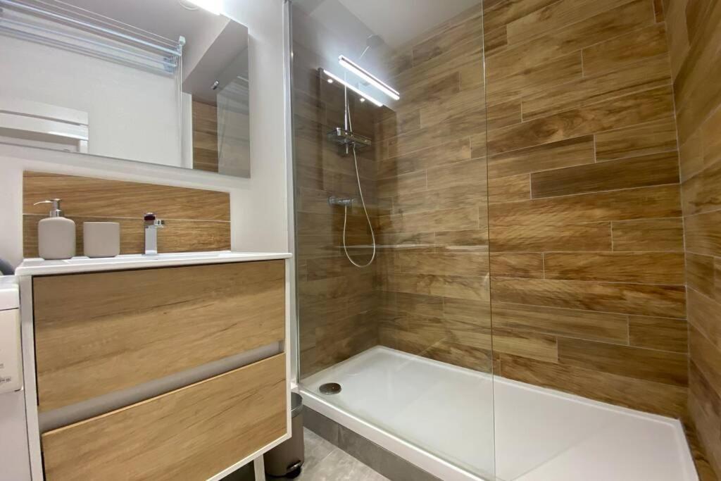 Place De Metz, Hyper-Centre Grenoble, Studio 25 M2 Екстер'єр фото