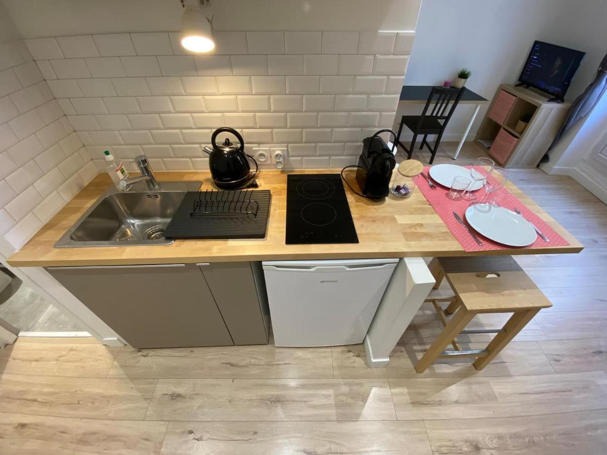Place De Metz, Hyper-Centre Grenoble, Studio 25 M2 Екстер'єр фото