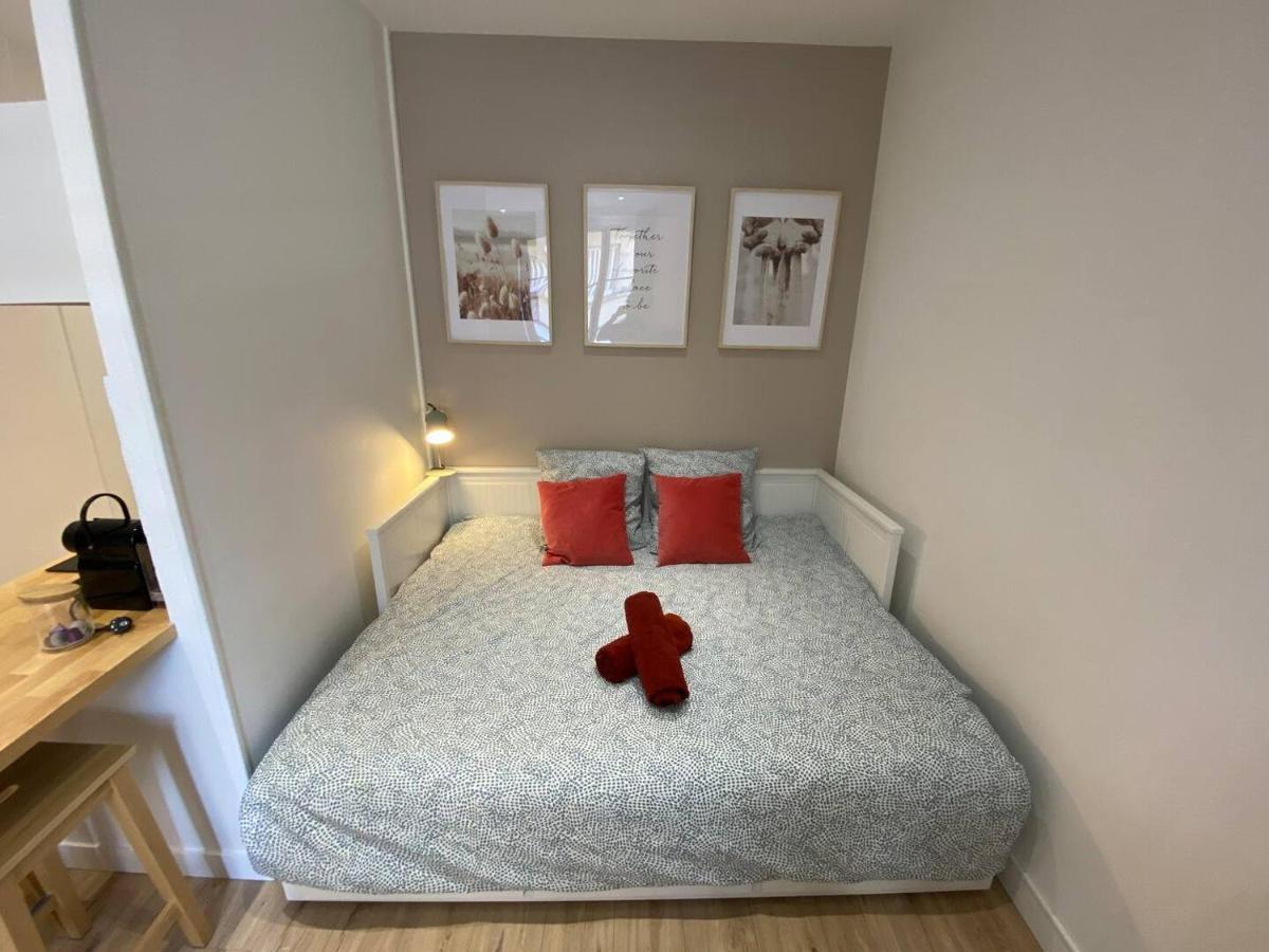 Place De Metz, Hyper-Centre Grenoble, Studio 25 M2 Екстер'єр фото